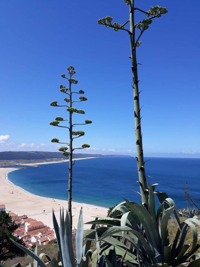 Refugio Villa Mar Nazare Bagian luar foto